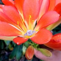 Show me your ring set!