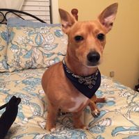 NWR Show me your furbabies