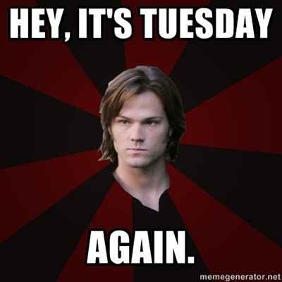WW: Please welcome, Tickled Tuesday!