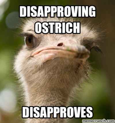 annoyed.