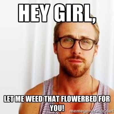 Out of town Weeding