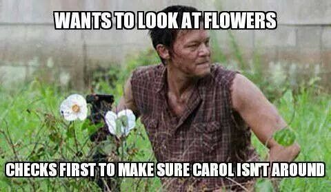 WALKING DEAD CRUISE