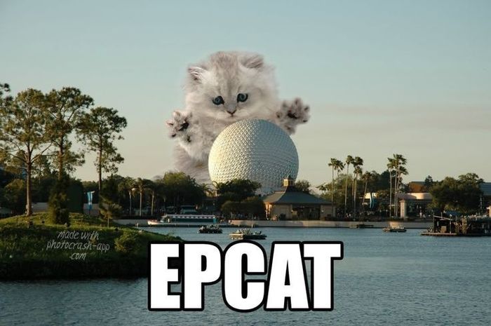 NWR- WTF Wednesday! A Discussion and Meme Thread
