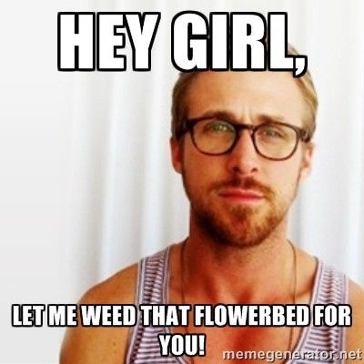 Out of town Weeding