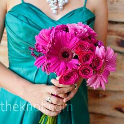What colors of Gerbera Daisies?