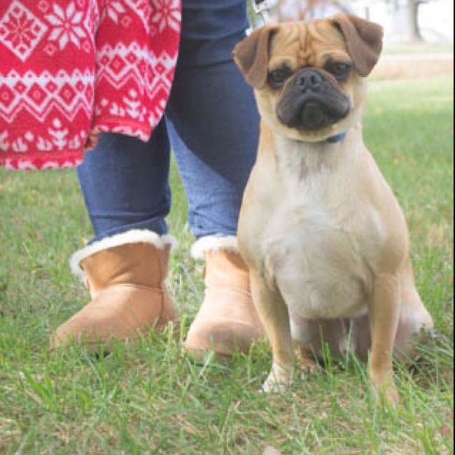 NWR: Furbaby!