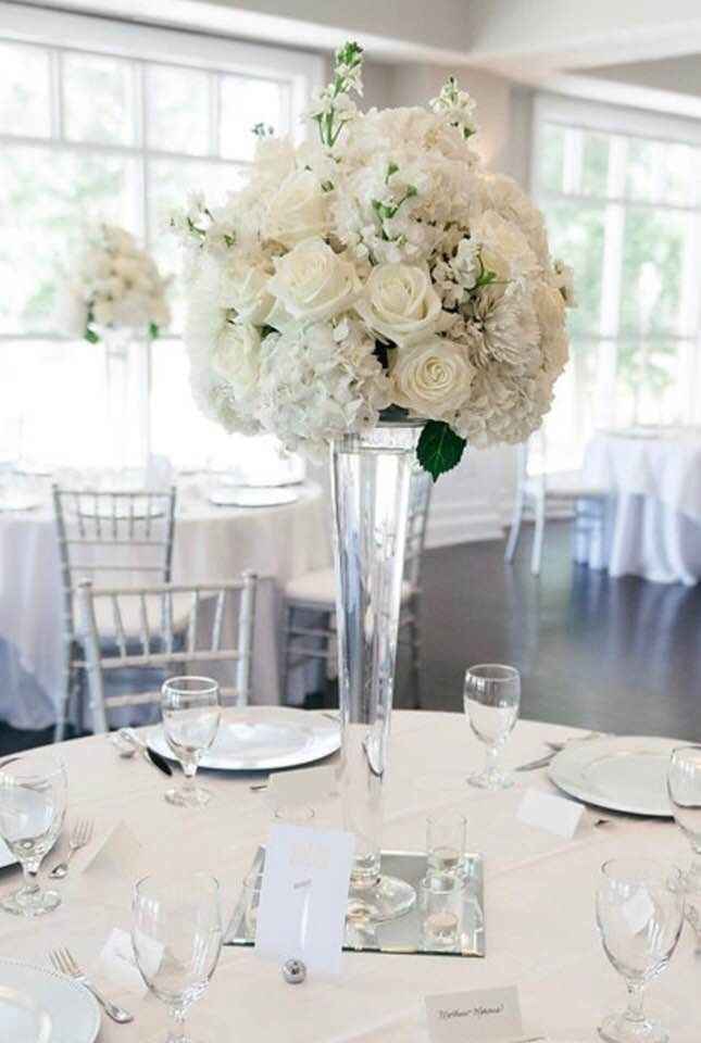 FINALLY! Our Professional pictures are back