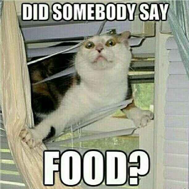 Food choice
