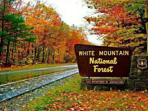 Mountain/wildlife honeymoon