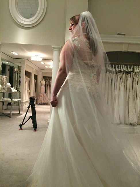 Let's talk about veils...
