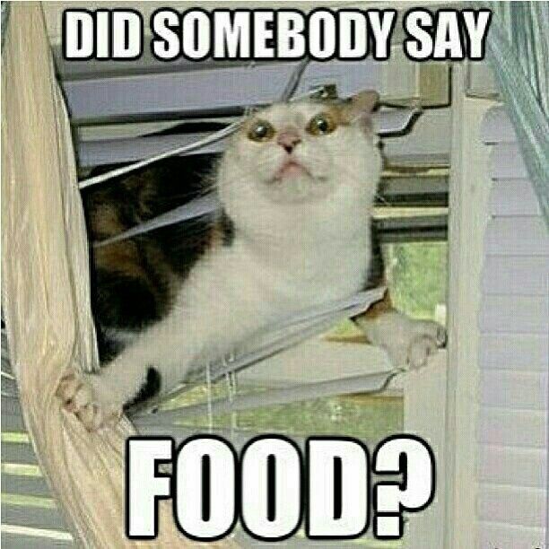 Food choice