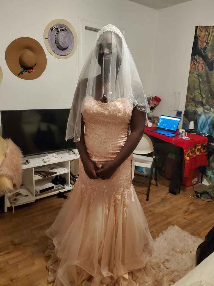 Got my dress I'll wear after the wedding, my tiara, and veil. 1