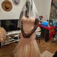 Got my dress I'll wear after the wedding, my tiara, and veil. - 1