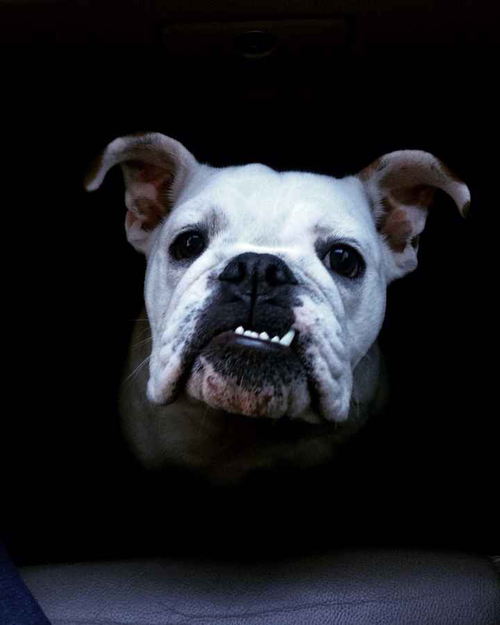 A year from today! And an introduction.