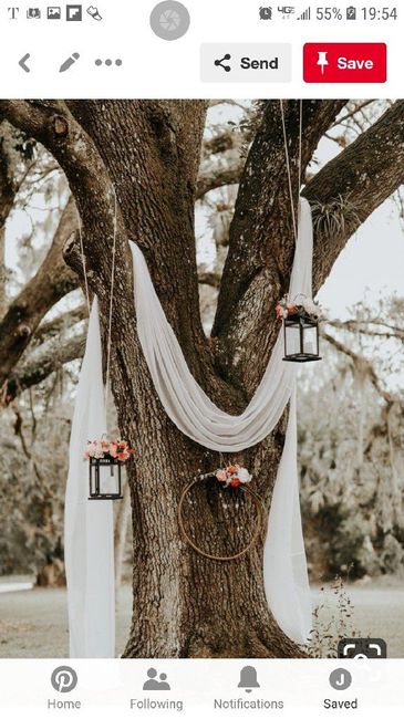 Backyard wedding on a strict budget 6