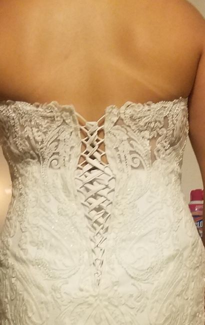 Wedding Dress- Corset or Buttons? Unbiased opinions needed! 2