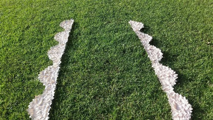 How many flower petals? 2