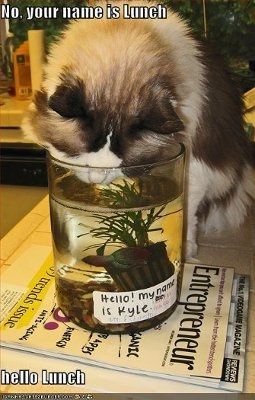 I need happy news.