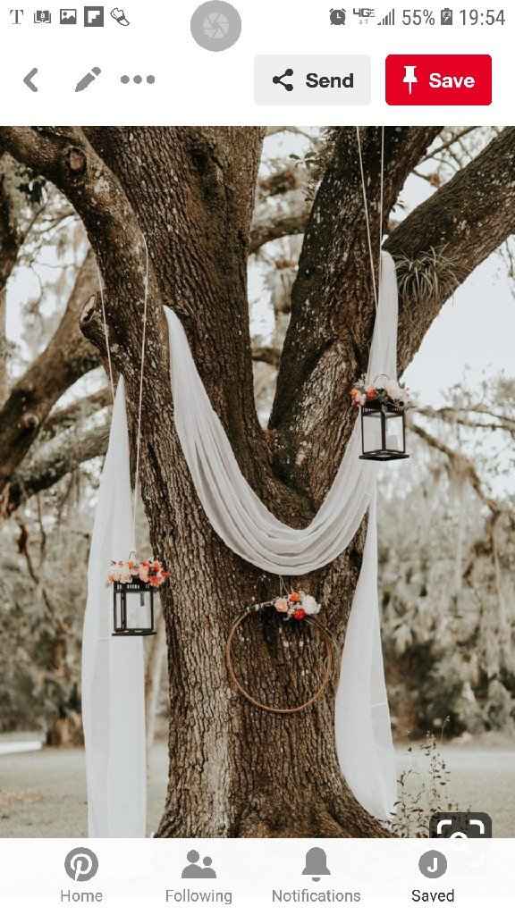 Backyard wedding on a strict budget - 6