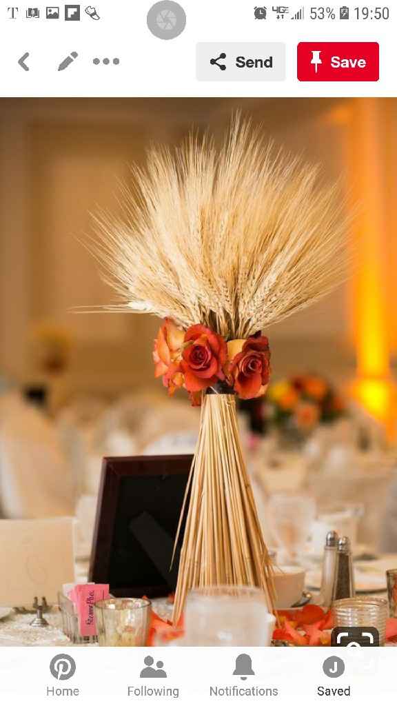 Backyard wedding on a strict budget - 9