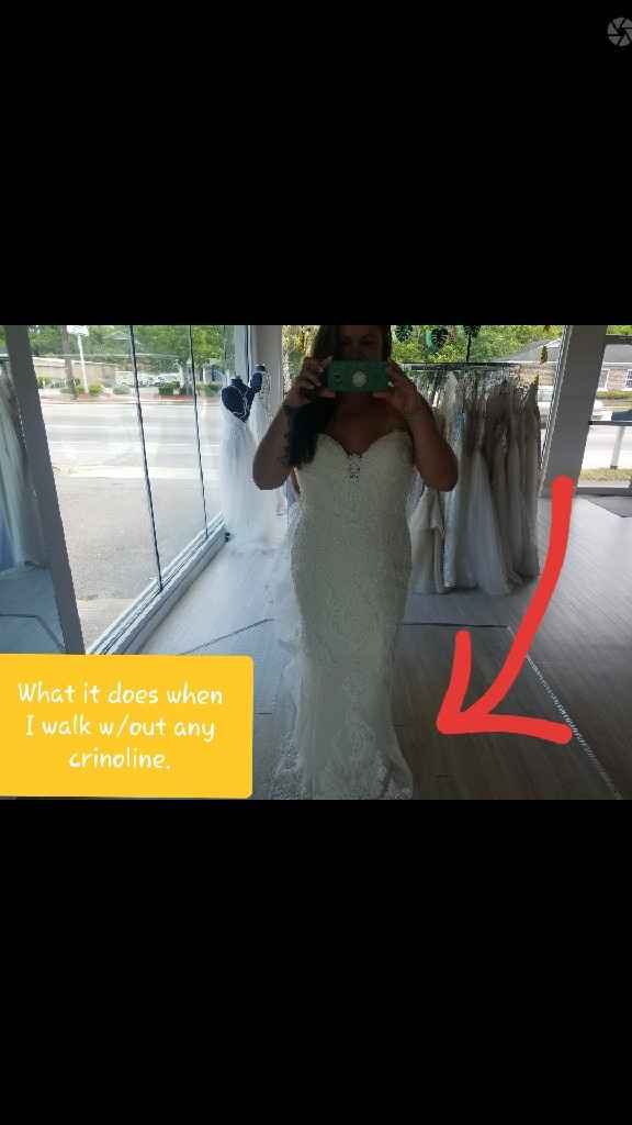 Need help with crinoline please... - 1