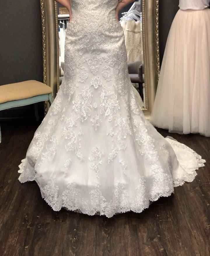 Dream Dress- Bust Question (pics) - 4