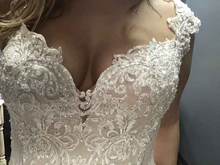 Dream Dress- Bust Question (pics) - 6