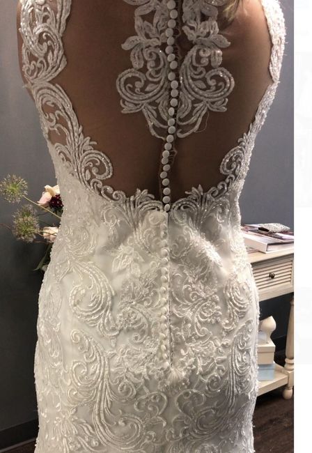 Dream Dress- Bust Question (pics) - 2
