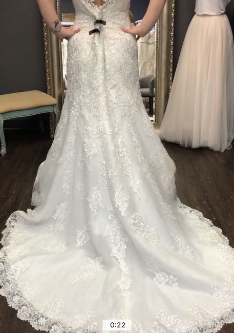 Dream Dress- Bust Question (pics) - 3