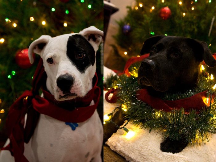 Show me your holiday photos!