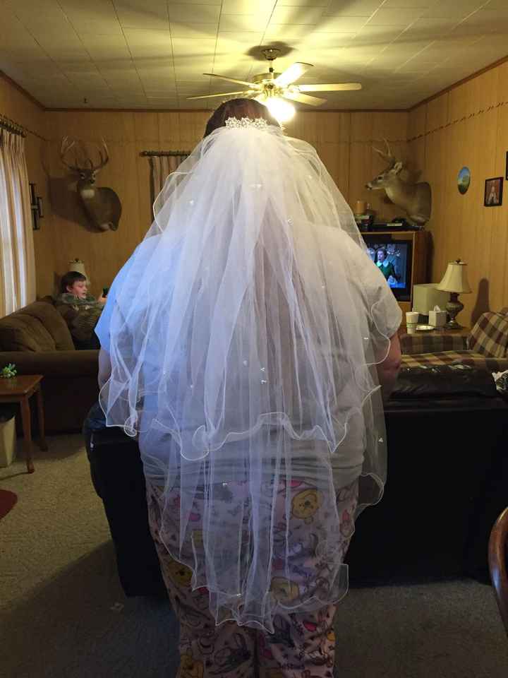 DIY Veil