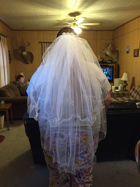 DIY Veil