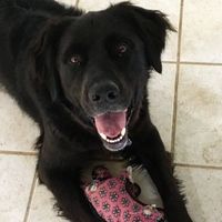 NWR: Show me your fur babies