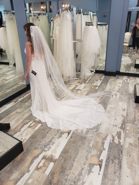 Veil or Flowers In Hair - 3
