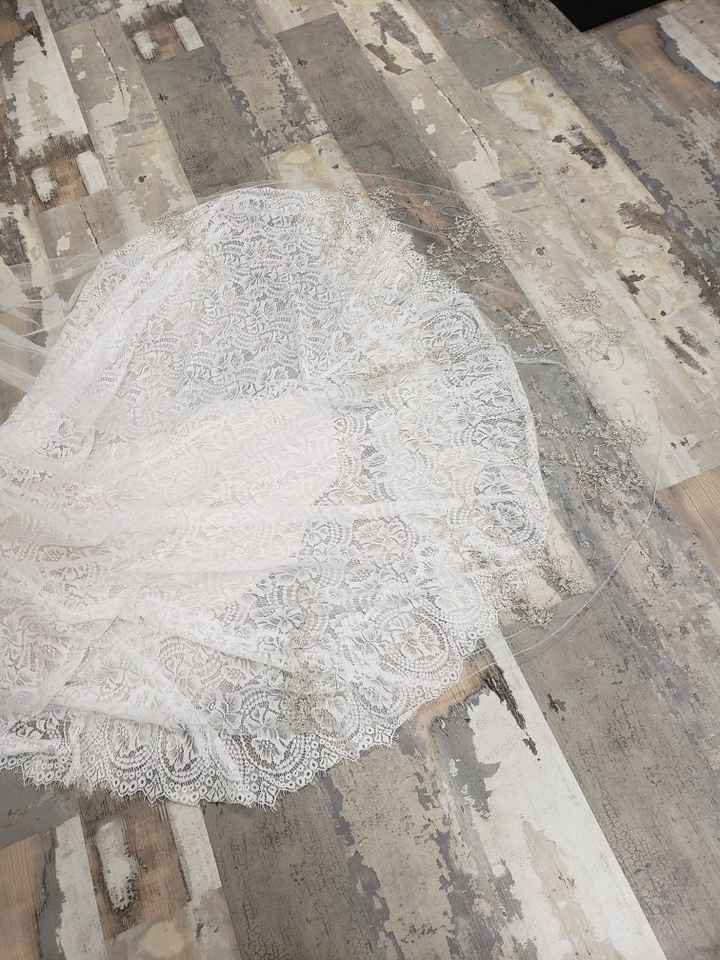 Cathedral Veil on Grass ?? - 1