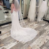 Veil or Flowers In Hair - 1