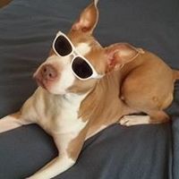 I'm putting FH into smile bootcamp!