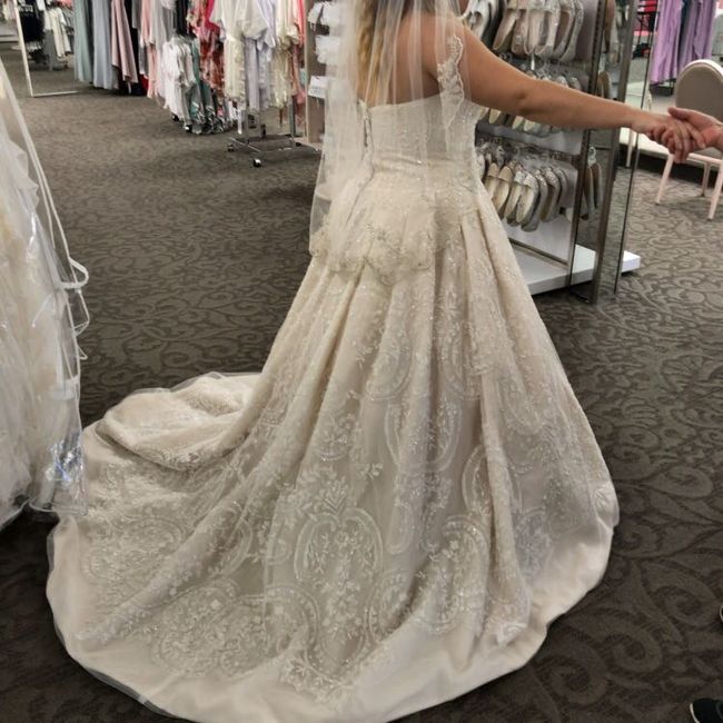 My wedding dress is here - 2