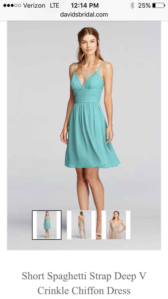 David's Bridal Bridesmaid Dress