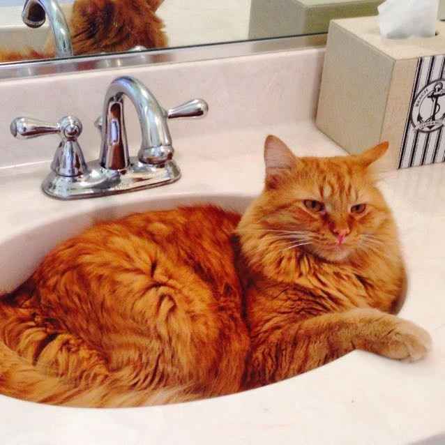 NWR: Fursday Thursday