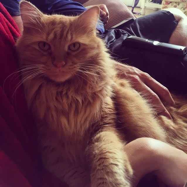 NWR- pets! We love them show me yours :)