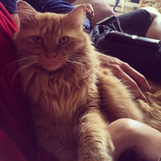 NWR- pets! We love them show me yours :)