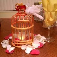 How can I make these birdcages better and turn them into a centerpiece?