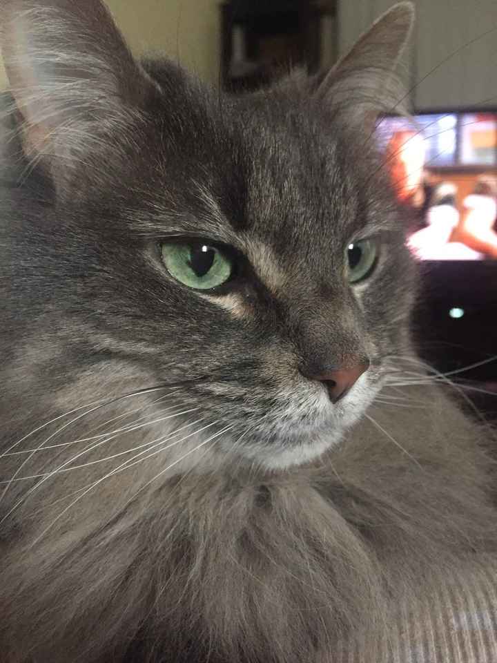 Let me see your puppies!!!