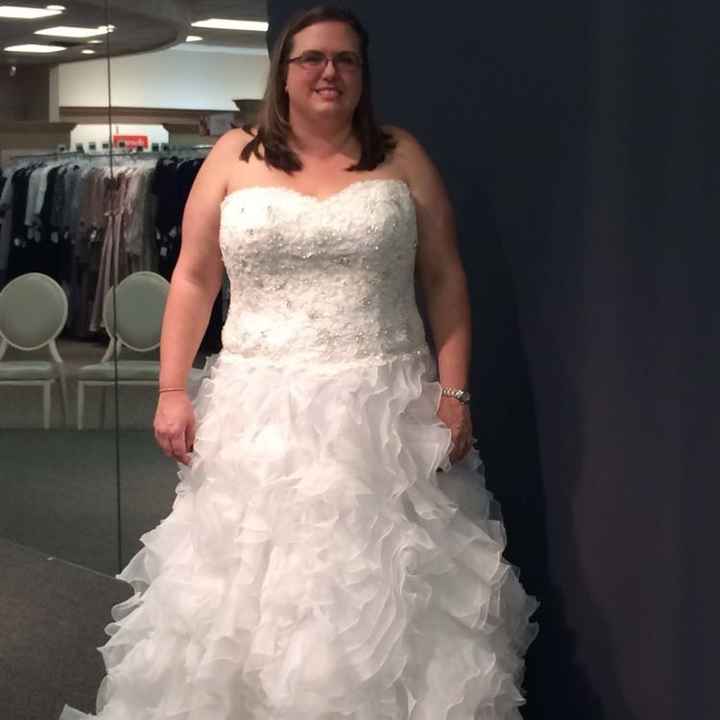 Plus Size Lace or Tulle Wedding Dresses -- show me yours?