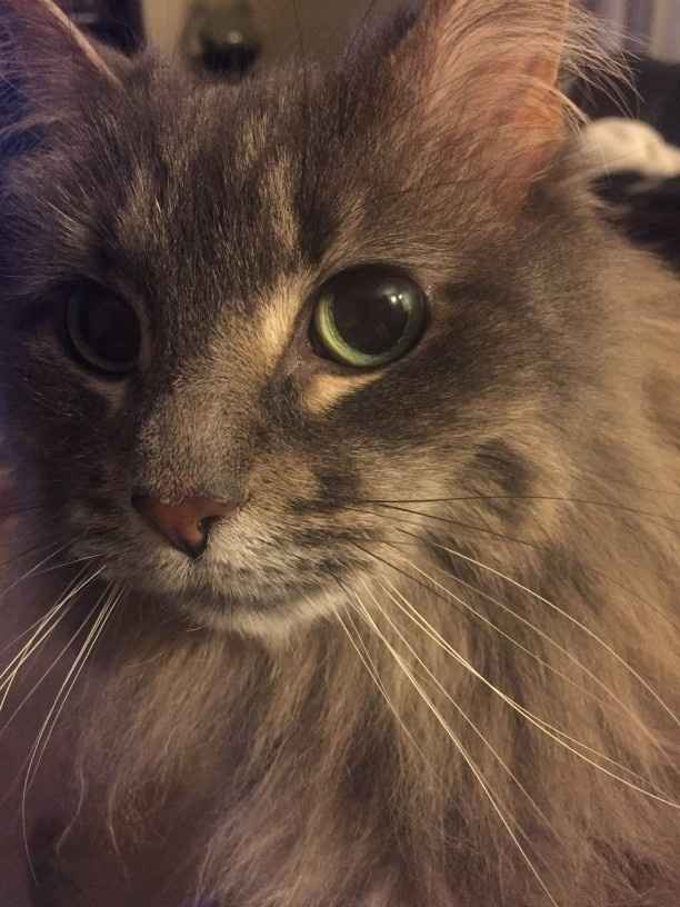 Something old, something new...