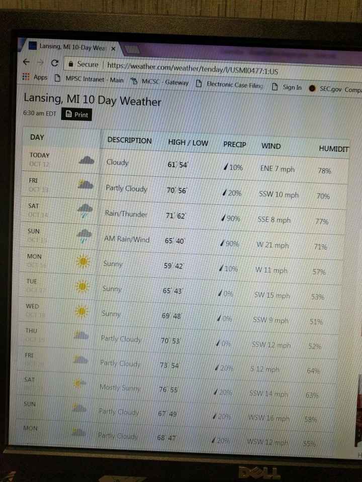 So much for making a capelet to wear