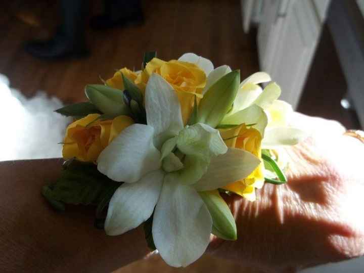 SAK2SAH's non-pro BAM!!