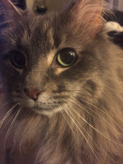 Something old, something new...