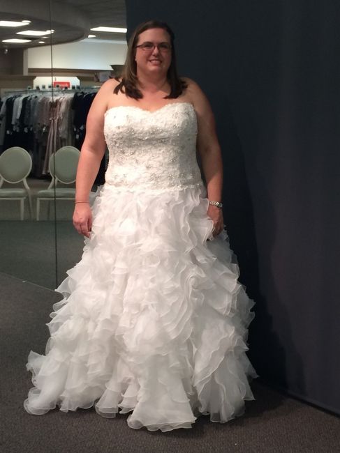 Plus size bride
